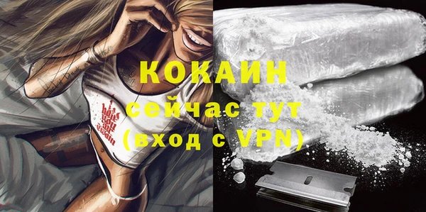 сатива Михайлов