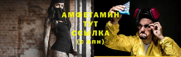 стаф Михайловск