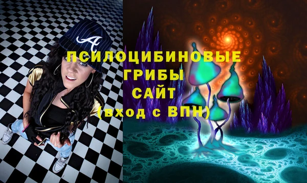 стаф Михайловск