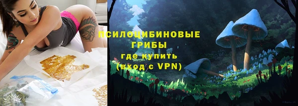 стаф Михайловск