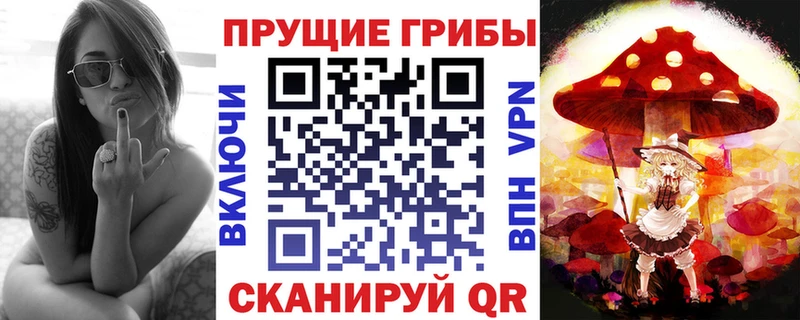 Псилоцибиновые грибы Psilocybe  Стрежевой 