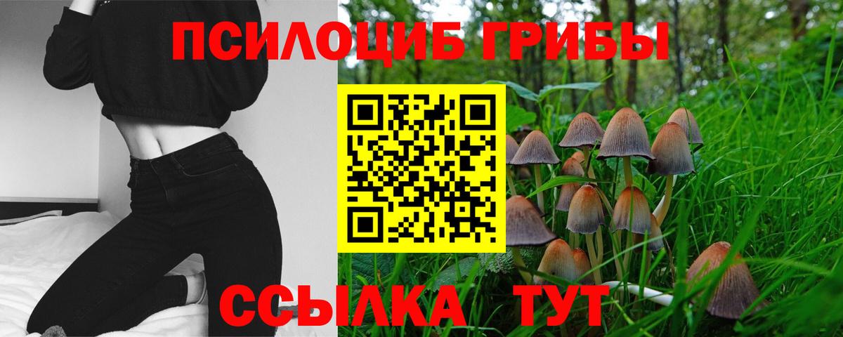 Галлюциногенные грибы ЛСД  Вход с VPN  Стрежевой 